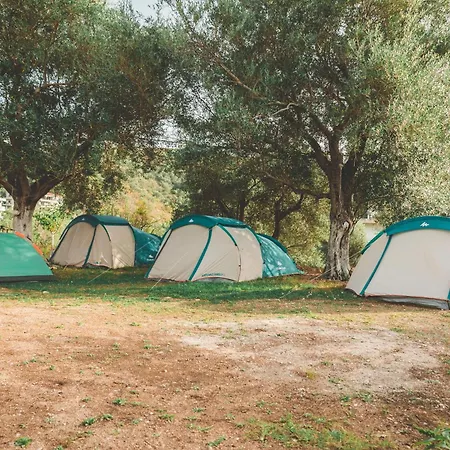 Unique At Olive * Himarë
