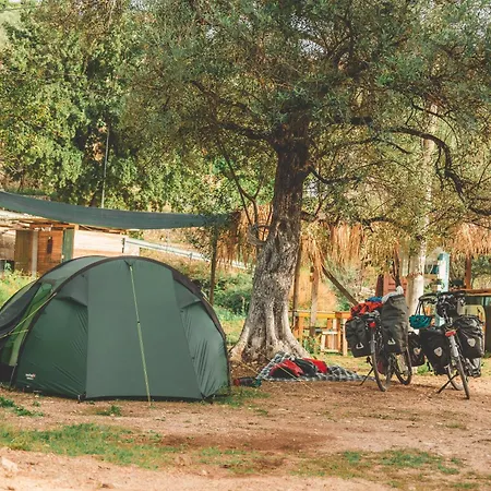 Olive Campsite Himare