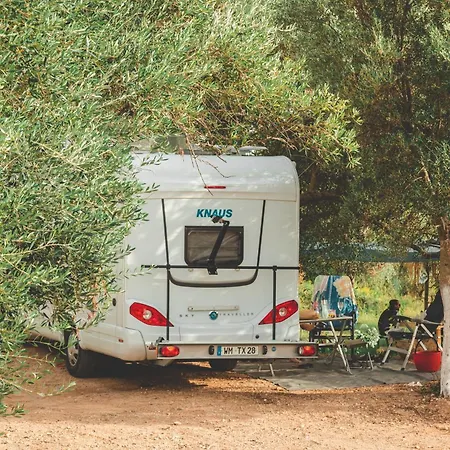 Olive Campsite *