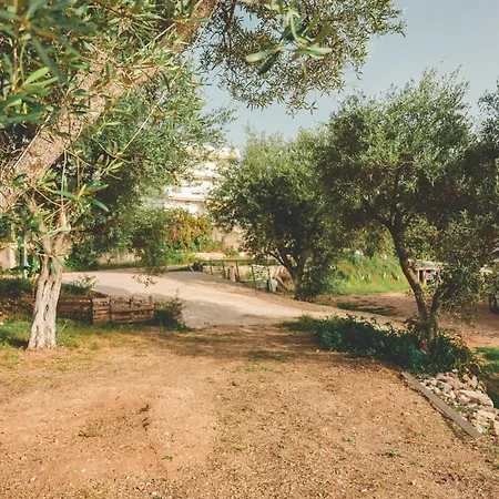 Camping Unique At Olive Himarë
