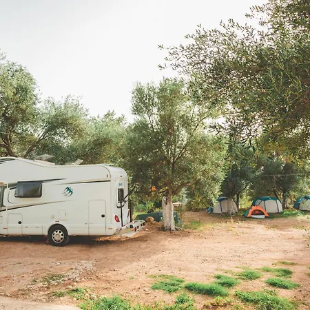 Unique At Olive Camping