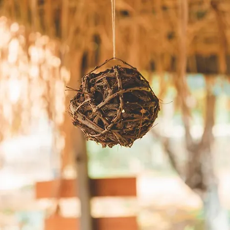 Unique At Olive هيماري