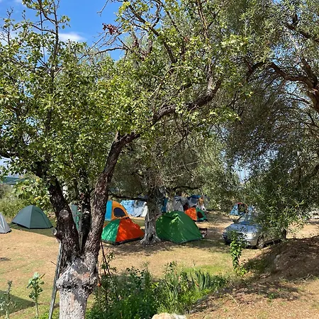 Olive Campsite *