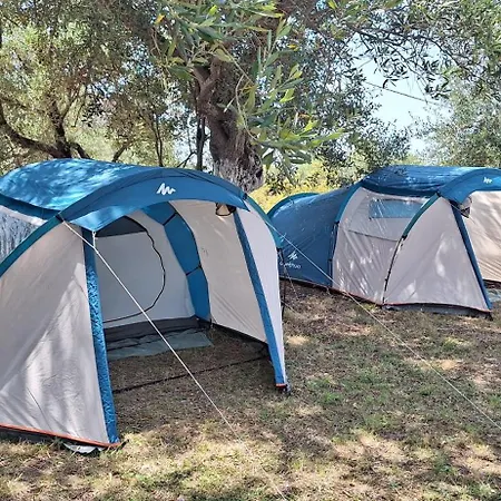 Olive Campsite Himare