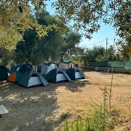 Olive Campsite *