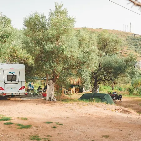 Unique At Olive Campeggio *