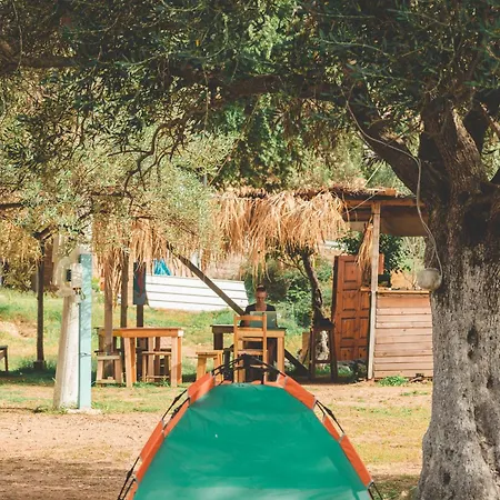 Unique At Olive * Himare