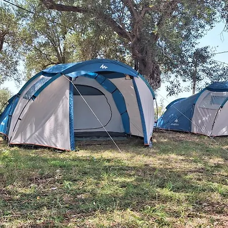 Parque de Campismo Unique At Olive *