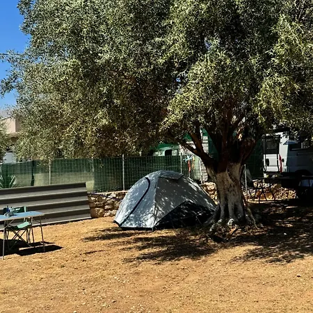 Unique At Olive Himare