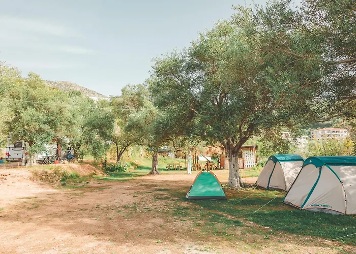 Camping Unique At Olive *