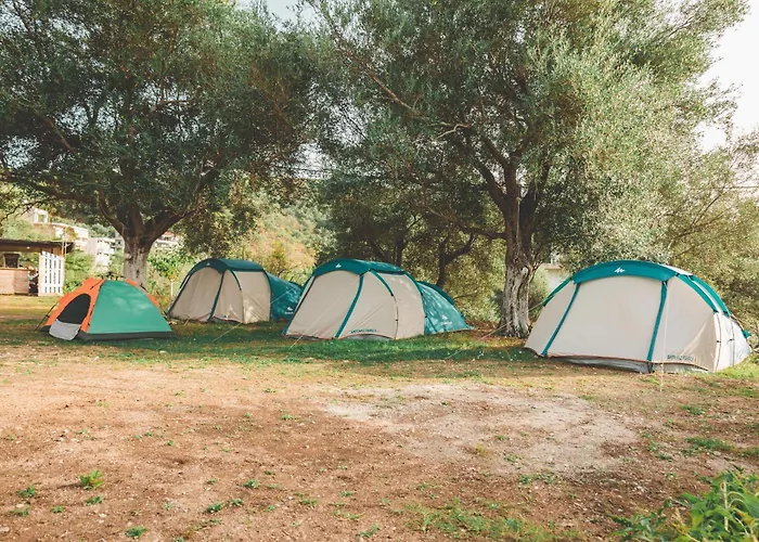 Unique At Olive * Himara