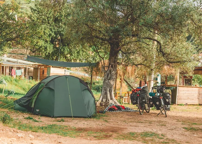 Unique At Olive Kemping Himara