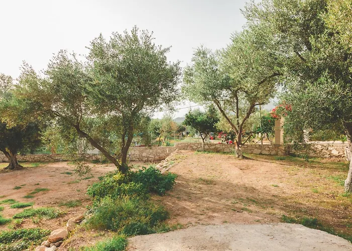 مكان تخييم Unique At Olive *