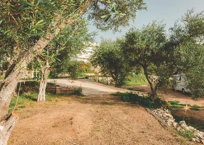 Kemping Unique At Olive Himara