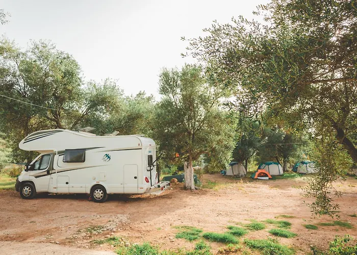 Unique At Olive Camping