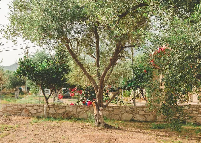 مكان تخييم Unique At Olive