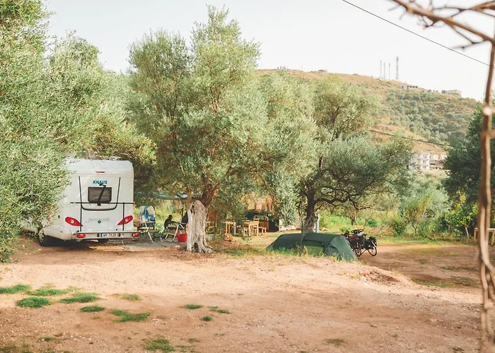 Unique At Olive Camping *