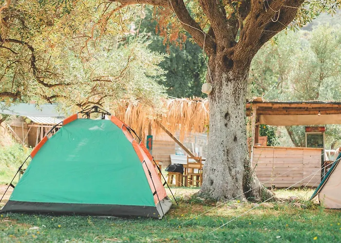 Unique At Olive Camping *