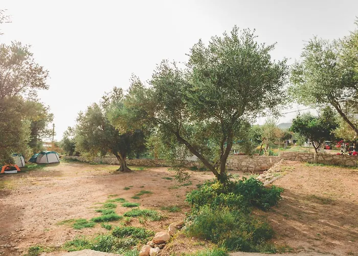 Unique At Olive Camping *