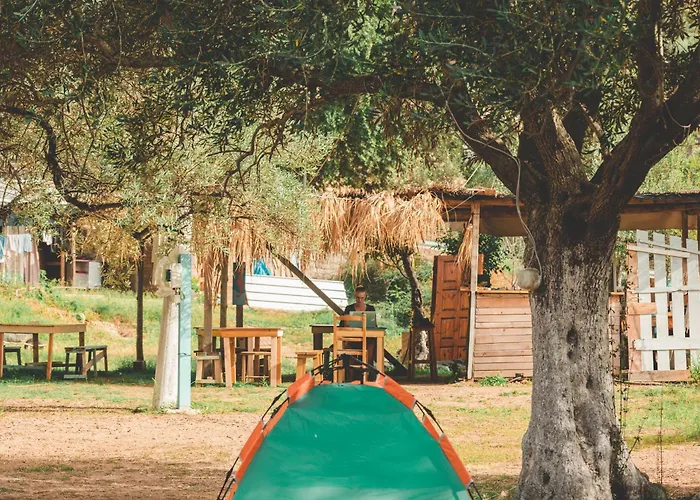 Unique At Olive * Himara