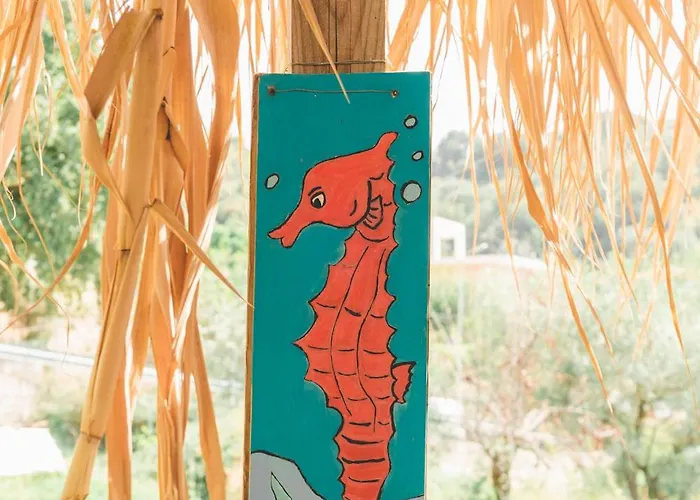 Unique At Olive * Himara