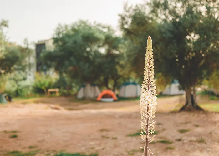 Unique At Olive Himarë