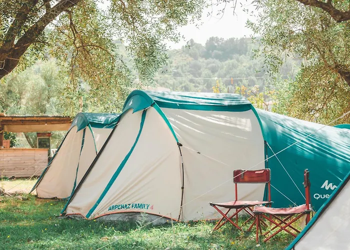 Camping Unique At Olive