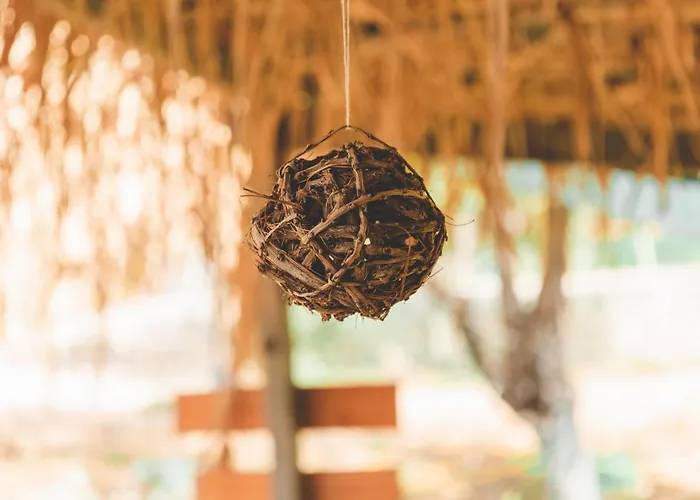 Unique At Olive هيماري