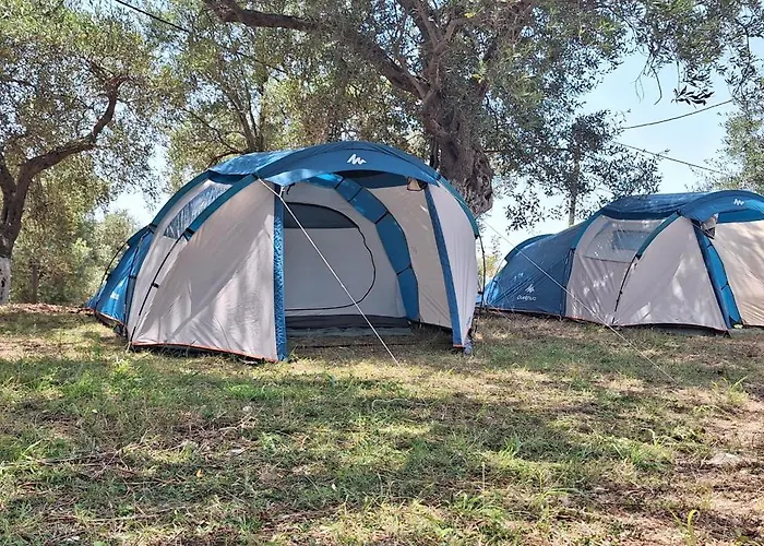 Camping Unique At Olive *