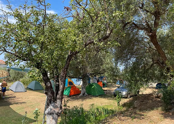 Unique At Olive Camping *