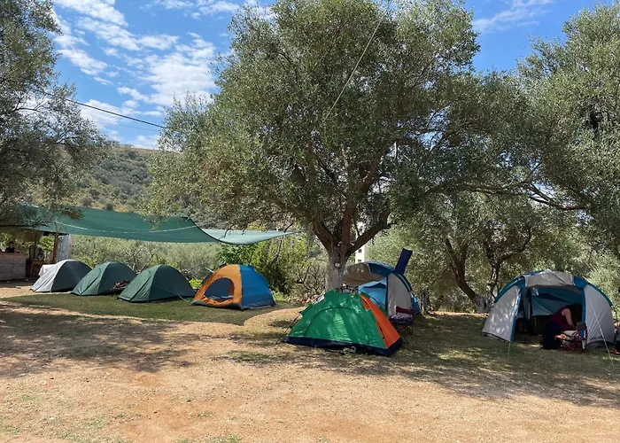 Camping Unique At Olive Himarë