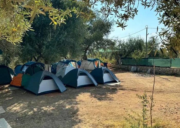 Unique At Olive Camping *